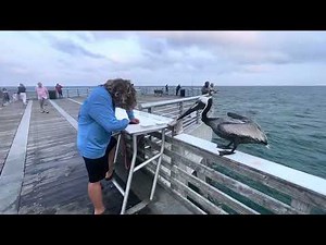 A tour at Pompano Beach Fishing Pier