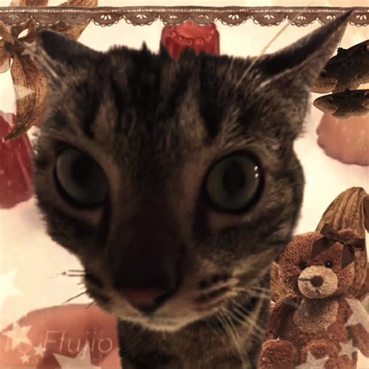 Now that I rewatch this I feel like I sound kinda bratty but I just want you to keep in mind that a lot of my life my younger siblings have been favored and most of the attention I’ve gotten has just been my parents telling me to do chores or extra work because I’m the oldest. I’m also just acting this way because a lot of negative things have happened in my life like giving up my pet and going through a breakup and my parents told me I could be upset the day after the breakup, but after that I 