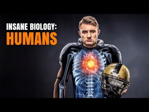 Insane Biology of Humans