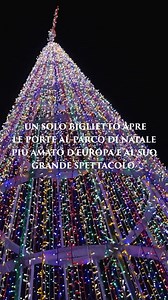 Christmas World torna nel cuore di Villa Borghese! Per la prima volta, un unico biglietto ti permette di vivere il parco natalizio più amato d’Europa e il suo Grande Spettacolo. Un viaggio straordinario tra: ✨ 40.000 mq di pura magia 🎨 Programmazione artistica completamente nuova 🌍 300 artisti internazionali 🍷 Food experience a tema 🎡 Nuove attrazioni tutte da scoprire La magia di sempre, con ancora più divertimento! Vieni a creare nuovi ricordi indimenticabili questo Natale. 📅 Dal 29 novem