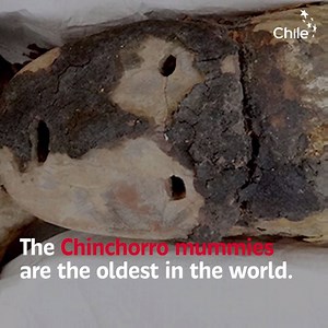 34K views · 419 reactions | Did you know that some of the oldest mummies in the world are in the north of Chile? Meet the Chinchorro mummies! | Marca Chile | Facebook
