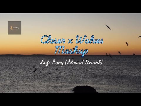Closer x Wolves Mashup Lofi Song (Slowed Reverb)