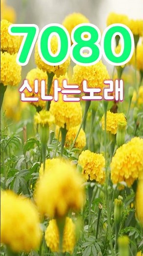 아련한 옛사랑이 떠오르는 7080 추억의 명곡들 - 50대-60대가 좋아하는 중년가요 노래모음 - 7080노래모음