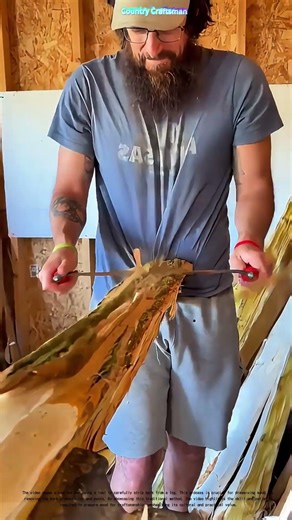 Stripping Bark to Perfection: How This Technique Preserves Wood for Generations