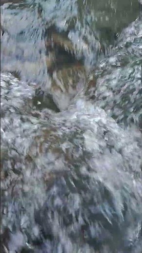 Relaxing Running Water Sounds 8K/Amazing Waterfall Sounds/Nature Sounds/Forest Stream Sounds.