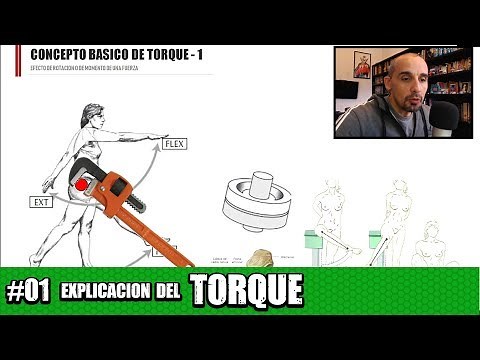 Torque finally explained. Examples in the human body (Movement Planes in the Squat)