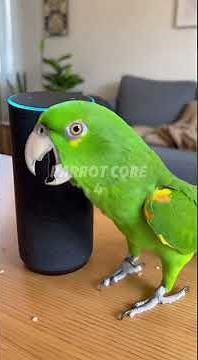 Parrot vs Alexa 😂 | Savage AI Fails Compilation (Talking Parrot Roast)