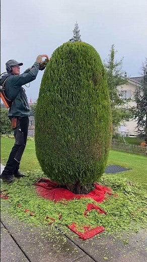 🌿 Avec HELION 3, facilitez-vous la taille !