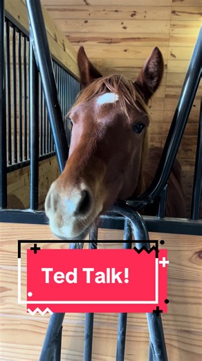 Understanding Horse Vision: Insights from This Week's Ted Talk