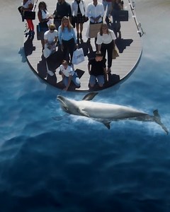 7.6K reactions · 1.8K shares | Scopri i mari e le loro creature con l'imperdibile magia della realtà aumentata. Vieni a scoprirla fino al 13/10 in collaborazione con Acquario di Genova. | Serravalle Designer Outlet | Facebook