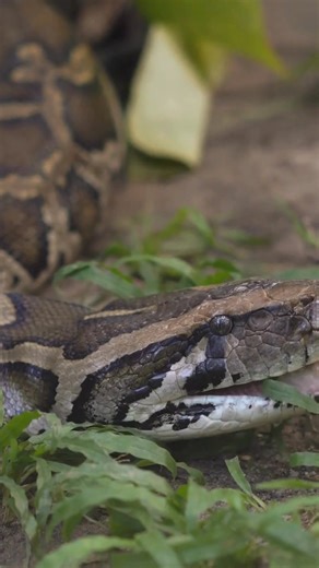 127K views · 85 reactions | Well, that's terrifying. | Howstuffworks | Facebook