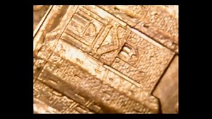 Jiusion 40-1000x Vergrößerung Endoskop, 8 LED USB 2.0 Digital Mikroskop, Mini Kamera mit OTG Adapter und Metall Standfunktion, kompatibel mit Mac Windows 7 8 10 11 Android Linux