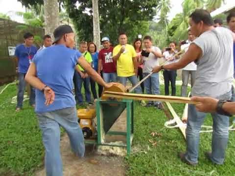 How to Extract Abaca or banana Fiber using a Decorticator | Selected Solutions #shorts