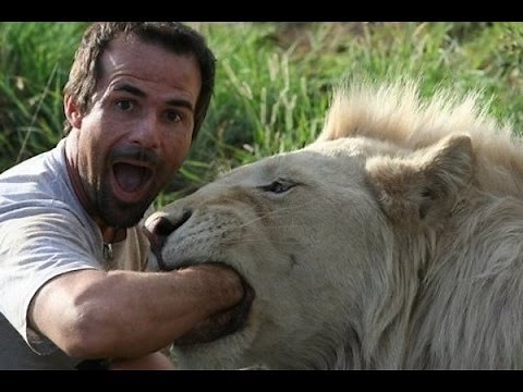 Documentaries discovery channel animals - live with lion and hyena - animal planet documentary