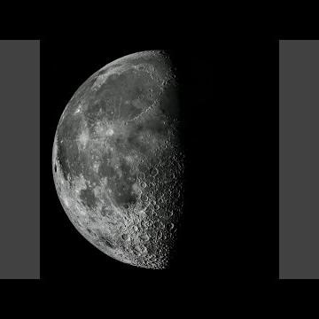 Casey Your Farts Ruined Christmas (Casey Poop)