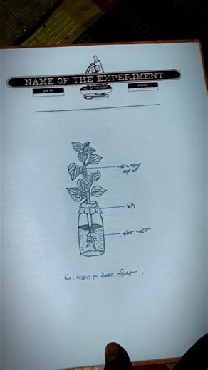 ssc- Biology practical #foryou #viral