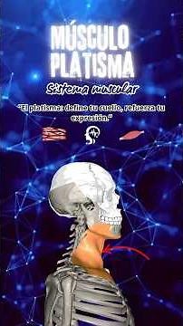 Músculo platisma
