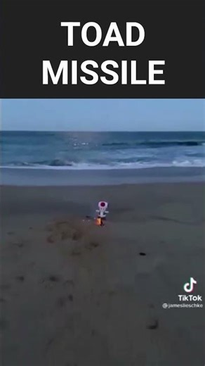 Toad Missile!