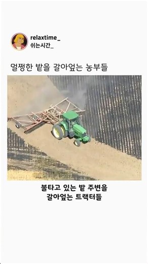 멀쩡한 밭을 갈아엎는 농부들