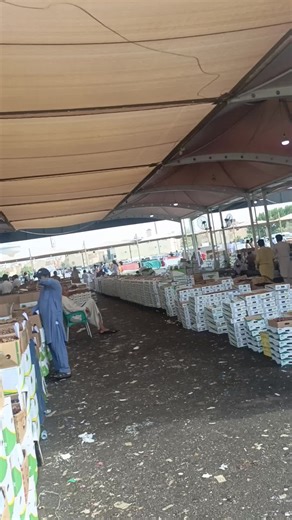 Madina Al-Halmunawaroh: Cold Room Freezer Showcase