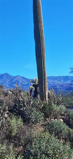 Exploring the Beauty of Arizona's Desert Landscapes