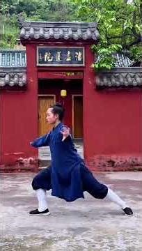 Tai Ji Wu Dang Ba Fa Wu Bu - Wudang Xuanmen
