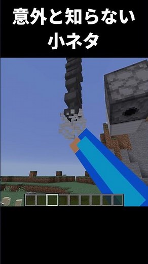 【マイクラ】みんな知らない小ネタ