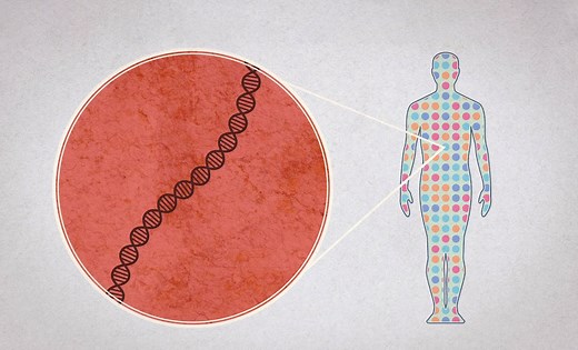 Scientists Have Successfully Generated the First Complete, Gapless Sequence of a Human Genome