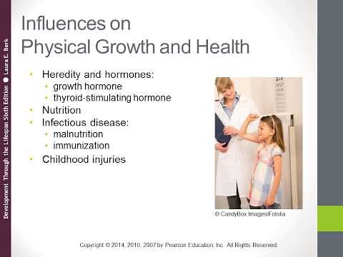 Physical Development In Early Childhood