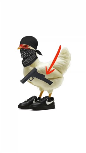 Chicken gang.#farming #modern #business #chicken #food #industry #automation #automated #factory #farm #farmlife #massproduce #technology #fyp #funny