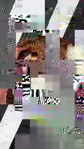 27K views · 286 reactions | Realistic pancake illusion cake | Zoe's Fancy Cakes | Facebook