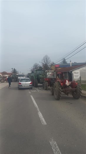 Predrag Veljkovic on Reels