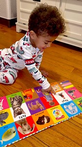 He such a smart boy | A Life Less Scripted