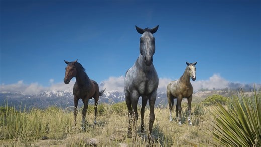 30K views · 202 reactions | Which Turkoman Horse is the Best in Red Dead Redemption 2 #rdr #rdr2 #reddeadredemption #reddeadredemption2 | OptimuS Prime | Facebook
