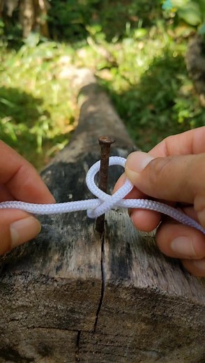 4.1K views · 46 reactions | Double Constrictor hitch knot/ Tie rope technique to a nail. | Knot Builder | Facebook