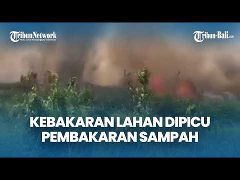 The land fire in Padangsambian, West Denpasar, is suspected to have been caused by the burning of...