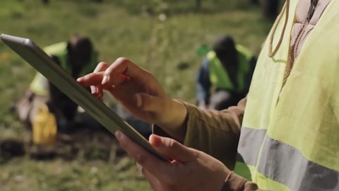 How Lay's Potato Chips Are Mass-Produced in the World's Largest Factory