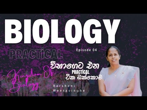 AL BIOLOGY PRACTICAL SINHALA| EPISODE 4