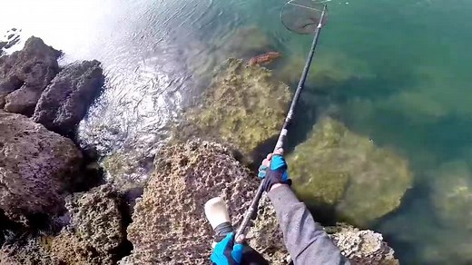 Vidéos de AYouB/Fishing (@ayoub.fishing) avec الصوت الأصلي - AYouB/Fishing