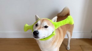 ComfyCamper Dog Green Ears Alien Headpiece - XXS Small Medium XLarge XXL Cosplay Halloween Costumes Christmas, XL