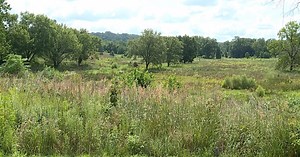 Former Akron golf course becoming haven for wildlife, native plants