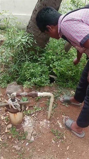 morning wake up Dog 🐕 sweet Play to boy #shorts #shortvideo #youtubeshorts #viral #trending #nature