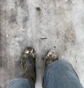 There is walking and there is walking like an old farmer. I used to think that’s because everything in an old farmer hurts. And that is true, but the old farmer walk is also how you improve your chances of not throwing more parts out of whack. | Stone Horse Farm