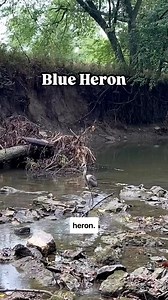 1.8K views · 16 reactions | Ecosystem services are the benefits nature provides, including carbon capture and storage, water management and filtration, air cleaning and cooling and habitats for both aquatic and terrestrial life. 閭年 By actively working in the community, the Johnson County Stormwater Management team, and all of its city partners, helps to protect and preserve these valuable ecosystems. | Johnson County, KS Government | Facebook