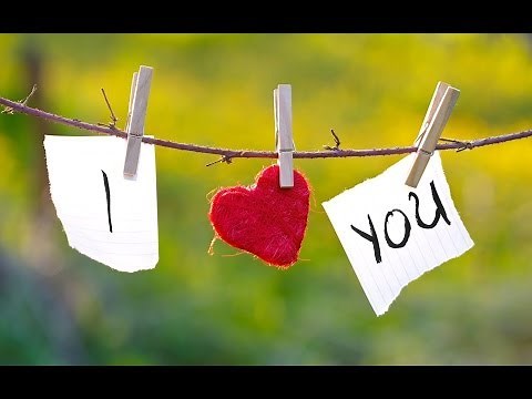 mouse love rice english version