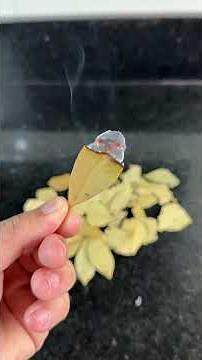 I Burned Bay Leaves at Home... I Wasn't Ready for This!