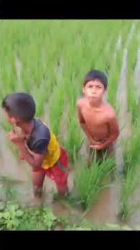 🤣🤣🤣🤣🤣🤣🤣