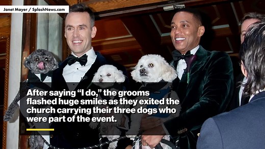 Don Lemon marries Tim Malone in NYC wedding attended by famous friends like Matt Lauer, Luann de Lesseps and more