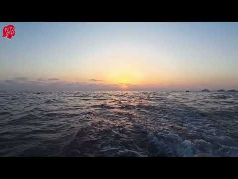 House Music Mix Week | Visual Experience