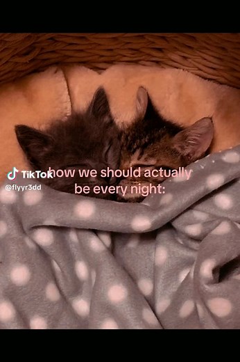 How We Should Actually Be Every Night: Cute Couple Routine Ideas